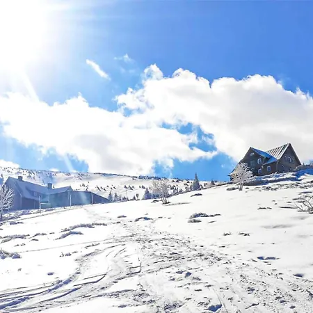 Lovely In * Шклярска-Поремба