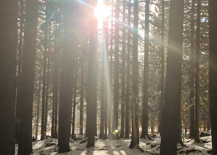 Lovely In Apartment Szklarska Poreba